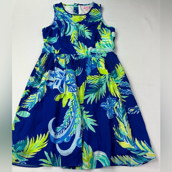 Lilly Pulitzer Kassia Fit and Flare Dress Size 4 - Picture 4 of 7